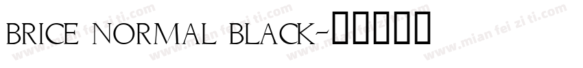 brice normal black字体转换